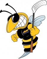 /album/dresy-ahf-nachod/logo1-ah-nachod-jpg1/